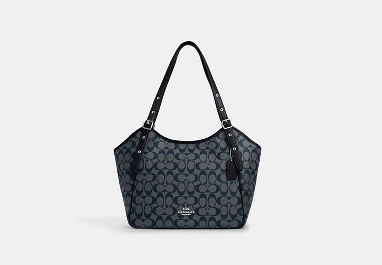 Coach best sale dumpling bag