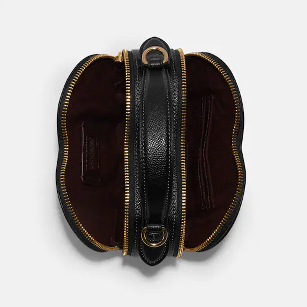 Coach Heart Zip Leather Crossbody Bag